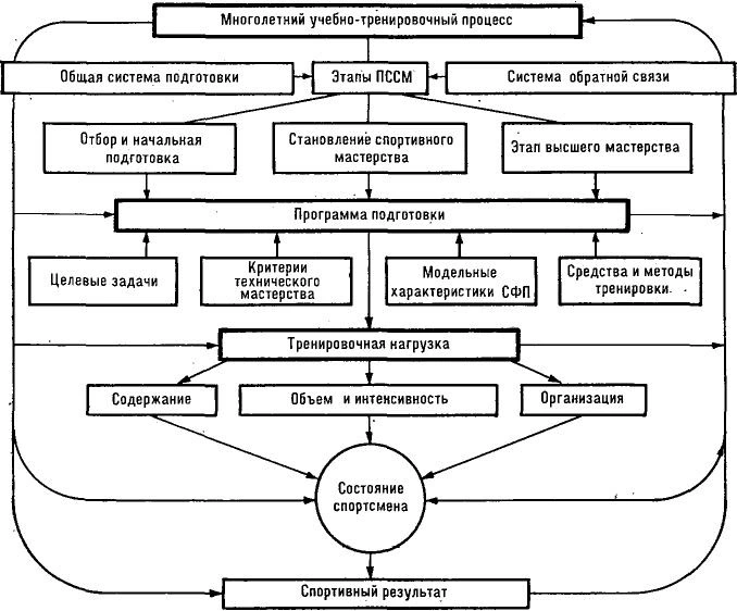 Diagram of the structure and management of the long-term training process